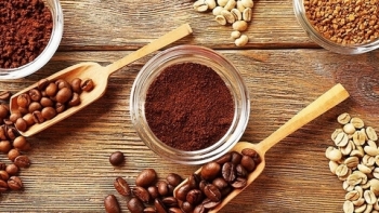 Giá cà phê hôm nay 9/8: Đi ngang đầu tuần