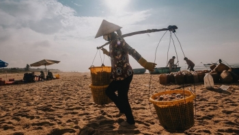 Hướng dẫn bổ sung phương án hoạt động kinh doanh tại các cảng cá trong giai đoạn dịch Covid-19 diễn biến phức tạp