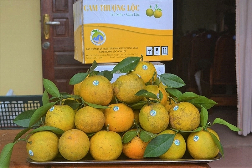 sản phẩm cam Hà Tĩnh đã, đang ngày càng vươn xa ra nhiều thị trường và được người tiêu dùng lựa chọn