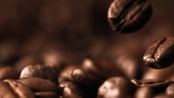 Giá cà phê hôm nay 11/8: Tăng thêm 600 đồng/kg