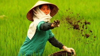 Tăng cường kiểm tra vật tư nông nghiệp trong tình hình dịch Covid-19