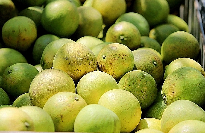 Đưa bưởi Phúc Trạch lên sàn thương mại điện tử, hướng tới kênh tiêu thụ bền vững