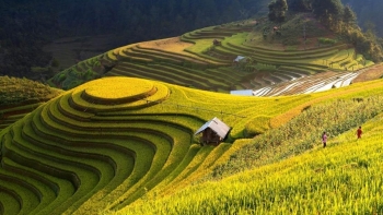 Tổ chức trực tuyến chương trình du lịch “Qua những miền di sản ruộng bậc thang” Hoàng Su Phì