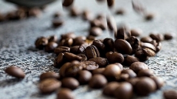 Giá cà phê hôm nay 12/8: Tiếp đà tăng thêm 100 đồng/kg