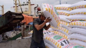 Nhập khẩu phân bón về Việt Nam tăng trở lại trong tháng 7