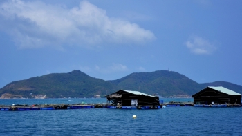 Kiên Giang: Phấn đấu đến năm 2030 có 14.000 lồng nuôi biển