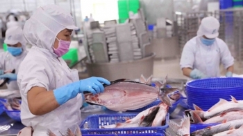 An Giang: Tổng kim ngạch xuất nhập khẩu hàng hóa 7 tháng tăng 3,56%