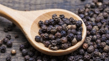 Giá hồ tiêu hôm nay 16/8: Giữ ổn định