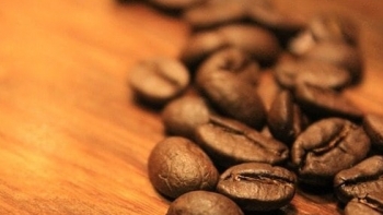 Giá cà phê hôm nay 17/8: Trong nước tăng 300 đồng/kg