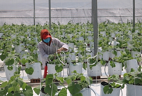 Thừa Thiên-Huế: Thực hiện Chương trình “100 doanh nghiệp chuyển đổi số trong 100 ngày” Thừa Thiên-Huế: Thực hiện Chương trình “100 doanh nghiệp chuyển đổi số trong 100 ngày”