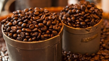 Giá cà phê hôm nay 18/8: Trong nước giảm nhẹ