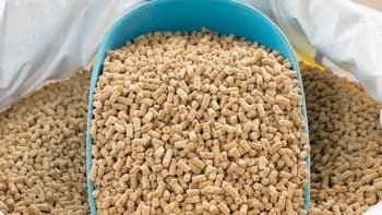 Xuất khẩu thức ăn gia súc 7 tháng đầu năm tăng 46,7%