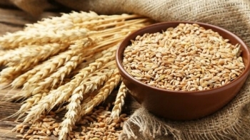 Lúa mì nhập khẩu về Việt Nam xuất xứ chủ yếu từ Australia