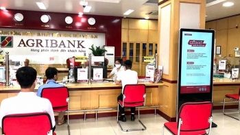 Agribank đã giải ngân hơn 116 ngàn tỷ đồng và 122 triệu USD cho vay ưu đãi hỗ trợ người dân, doanh nghiệp