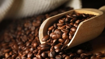 Giá cà phê hôm nay 19/8: Đồng loạt tăng