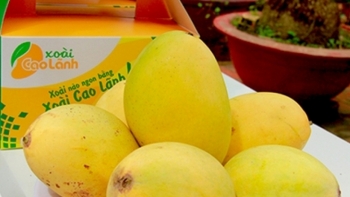 Đồng Tháp: Xây dựng và phát triển thương hiệu các nông sản chủ lực