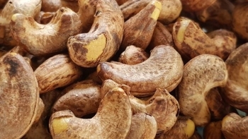 Campuchia trở thành nhà cung cấp hạt điều lớn nhất cho Việt Nam