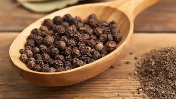 Giá hồ tiêu hôm nay 20/8: Tiếp tục đi ngang