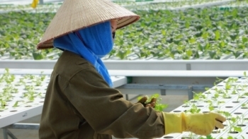 Vĩnh Phúc: Tập trung tháo gỡ khó khăn, đưa hoạt động sản xuất tăng trưởng ổn định