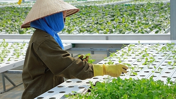 Vĩnh Phúc: Tập trung tháo gỡ khó khăn, đưa hoạt động sản xuất tăng trưởng ổn định