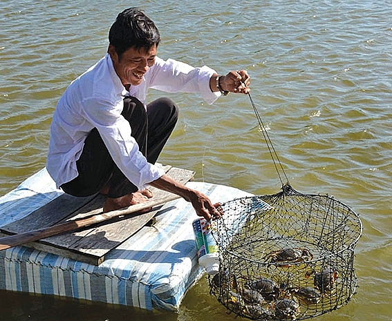 Cà Mau: Tăng cường chỉ đạo phát triển sản xuất thủy sản, chăn nuôi các tháng cuối năm