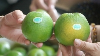 Đồng Tháp: Hơn 1.000 tấn nông sản, thuỷ sản tiếp tục được kết nối, tiêu thụ