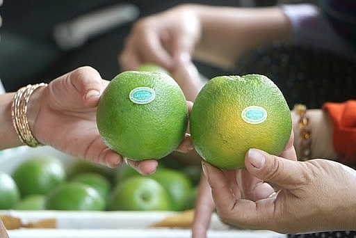 Đồng Tháp: Hơn 1.000 tấn nông sản, thuỷ sản tiếp tục được kết nối, tiêu thụ Đồng Tháp: Hơn 1.000 tấn nông sản, thuỷ sản tiếp tục được kết nối, tiêu thụ