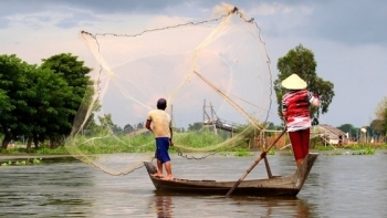 ĐBSCL phấn đấu đến năm 2030 diện tích nuôi trồng thủy sản đạt trên 990.000 ha