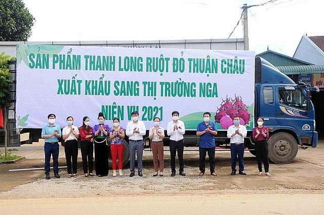 Sơn La xuất khẩu 10 tấn thanh long ruột đỏ sang thị trường Nga Sơn La xuất khẩu 10 tấn thanh long ruột đỏ sang thị trường Nga