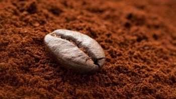 Giá cà phê hôm nay 23/8: Đi ngang đầu tuần