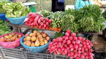 Lào Cai xây dựng phương án đảm bảo hàng hóa thiết yếu trong trường hợp giãn cách xã hội toàn tỉnh