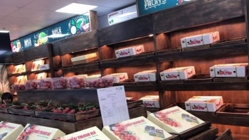 Xuất khẩu hàng hóa sang Thái Lan đạt trên 3,53 tỷ USD