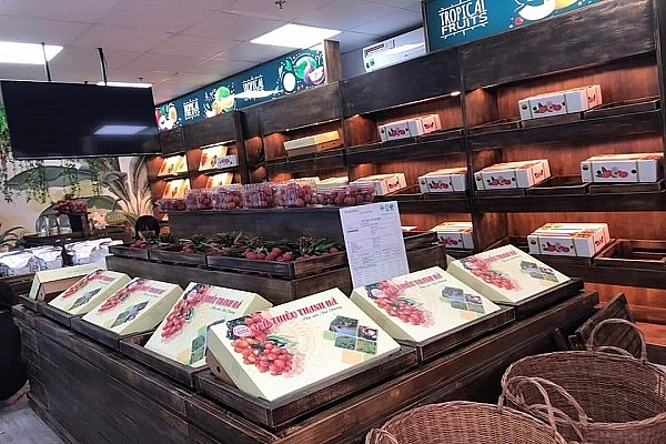 Xuất khẩu hàng hóa sang Thái Lan đạt trên 3,53 tỷ USD Xuất khẩu hàng hóa sang Thái Lan đạt trên 3,53 tỷ USD