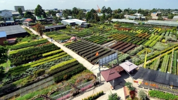 Đồng Tháp triển khai đề tài nghiên cứu xây dựng Làng thông minh