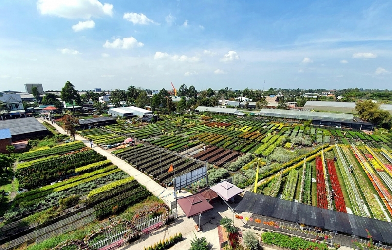 Đồng Tháp triển khai đề tài nghiên cứu xây dựng Làng thông minh