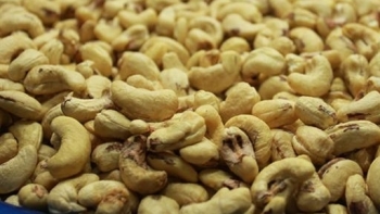 Dự báo xuất khẩu hạt điều sẽ thuận lợi trong thời gian tới