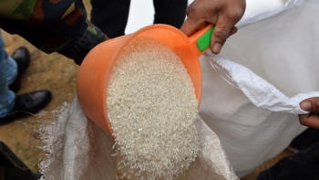 Đồng Tháp tiếp nhận và phân bổ 5.883,456 tấn gạo từ nguồn dự trữ quốc gia hỗ trợ