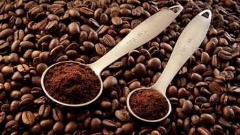 Giá cà phê hôm nay 25/8:  Tăng thêm 500 đồng/kg