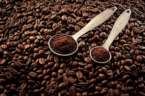 Giá cà phê hôm nay 25/8:  Tăng thêm 500 đồng/kg