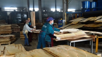 Chỉ số sản xuất công nghiệp tỉnh Quảng Bình duy trì đà tăng trưởng