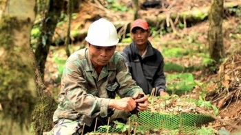Kon Tum phê duyệt 19 sản phẩm cần khuyến khích, ưu tiên hỗ trợ liên kết gắn sản xuất với tiêu thụ