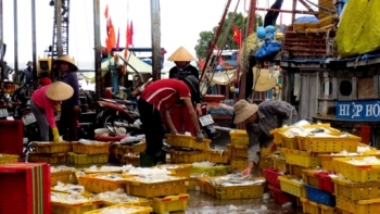 Trà Vinh đề xuất đầu tư trên 188 tỷ đồng nâng cấp, mở rộng cảng cá Định An