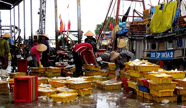 Trà Vinh đề xuất đầu tư trên 188 tỷ đồng nâng cấp, mở rộng cảng cá Định An