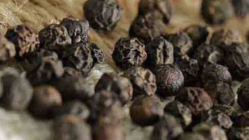 Giá hồ tiêu hôm nay 26/8: Tiếp tục chững  giá