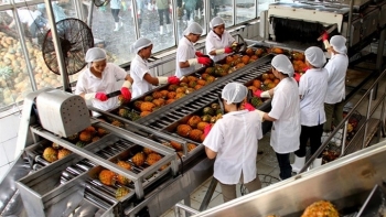 Xuất khẩu rau quả 7 tháng đầu năm tiếp tục duy trì đà tăng trưởng