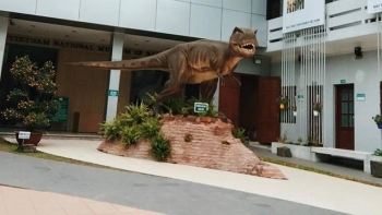 Hà Nội phê duyệt quy hoạch Bảo tàng Thiên nhiên cấp quốc gia rộng hơn 38 ha