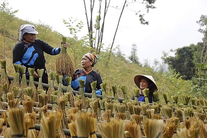 Bắc Kạn phấn đấu đến hết năm 2022, có trên 315 hợp tác xã Bắc Kạn phấn đấu đến hết năm 2022, có trên 315 hợp tác xã