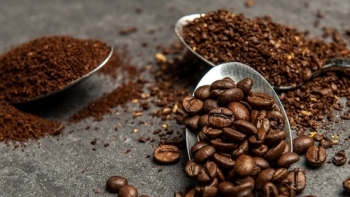 Giá cà phê hôm nay 27/8: Tăng ngày thứ 4 liên tiếp