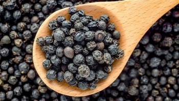 Giá hồ tiêu hôm nay 27/8: Giảm tại hầu hết các địa phương