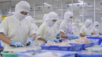 8 tháng đầu năm, kim ngạch xuất khẩu của tỉnh Kiên Giang đạt gần 510 triệu USD